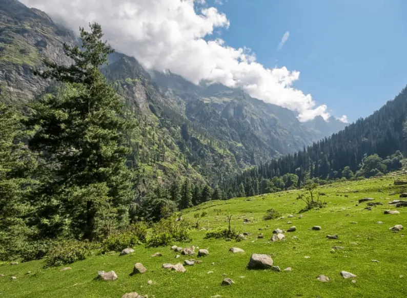 “Green Valley Shimla surrounded by lush pine forests and scenic Himalayan hills”