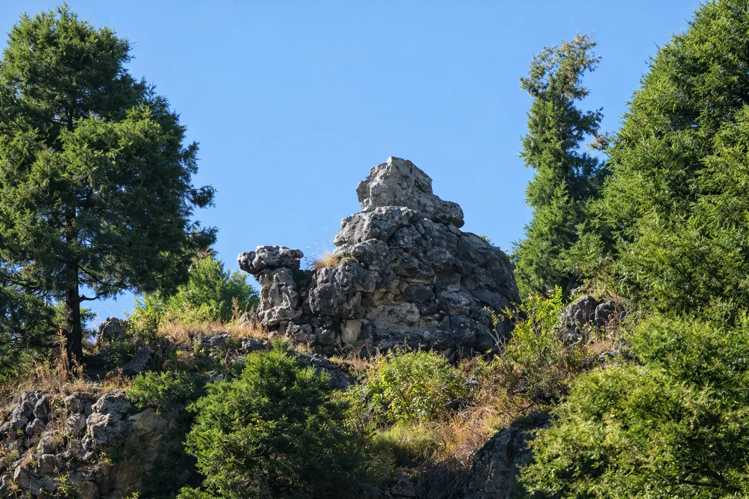 Camel Back Road Mussoorie scenic walking path with Himalayan views
