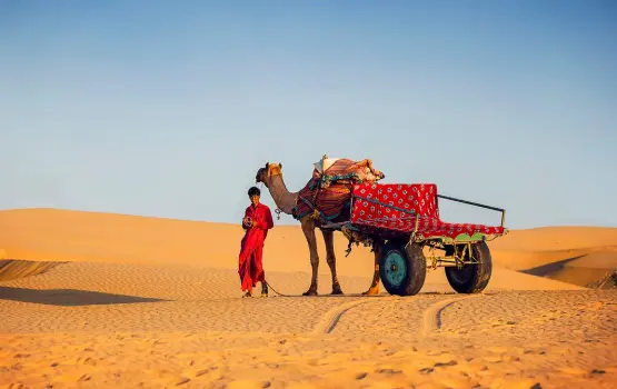 Golden sand dunes in Jaisalmer desert during sunset